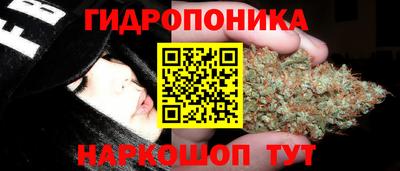 соль ск Кимры