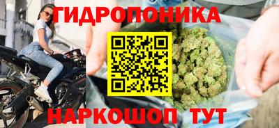 ALPHA PVP Кингисепп